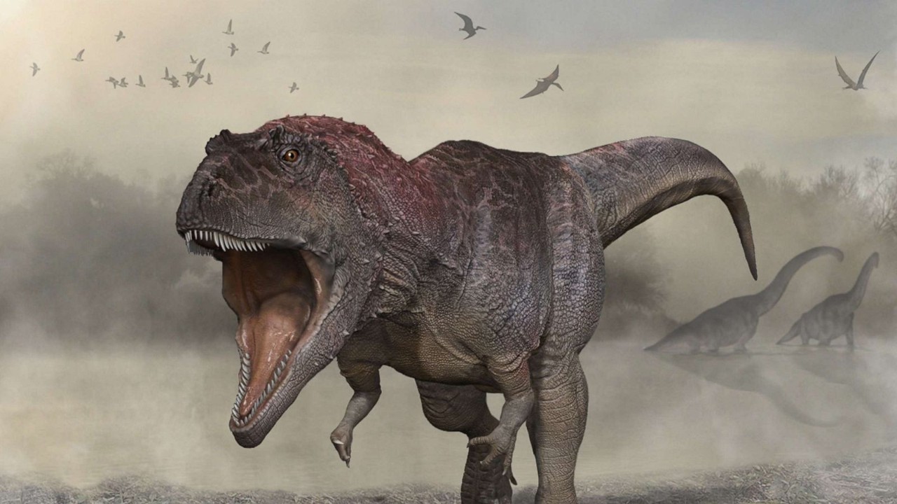 New dinosaur species discovered: Biggest one so far