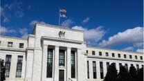 Fed activity in the markets
