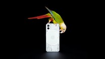 The Nothing Phone (2) now appears with a transparent USB Type-C