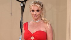 Britney Spears slammed in the face by a bodyguard