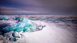 Scientists revive an ancient virus frozen for 48,500 years