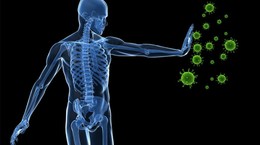 How to have a strong immune system?