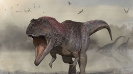 New dinosaur species discovered: Biggest one so far