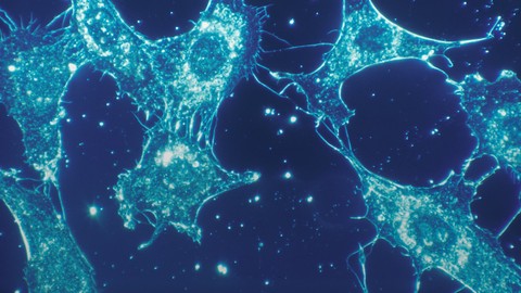 Scientists discover building blocks of life in the Perseus Cloud
