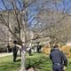 6 killed in Nashville school shooting, female shooter dead