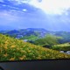 Asus' newly introduced screen costs more than many homes!