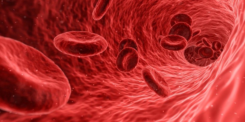 How to reset and boost your immune system? Take control of your body - Photo: 1