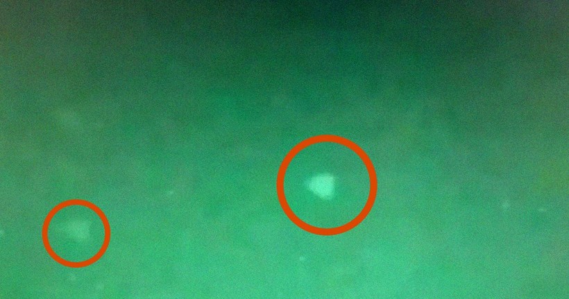 Shocking alien revelation from NASA! What's happening? - Photo: 4