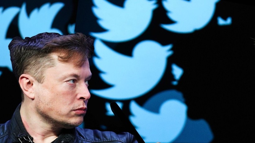 Twitter employees warn Elon Musk amid mass layoff crisis - Photo: 1