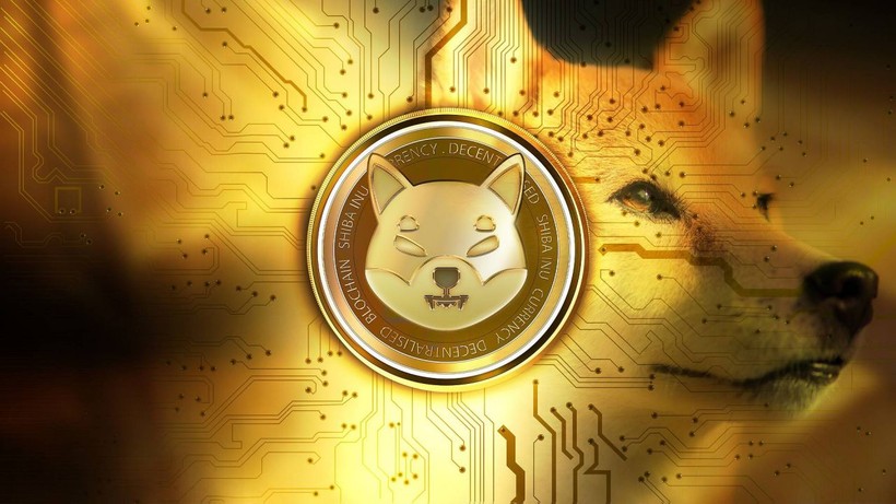 SHIB will increase by 300 percent! Do not sell before this date! - Photo: 4