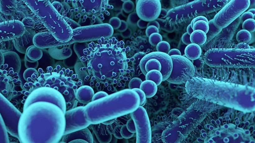 Candida Auris outbreaks: How to stay safe and protect yourself? - Photo: 4