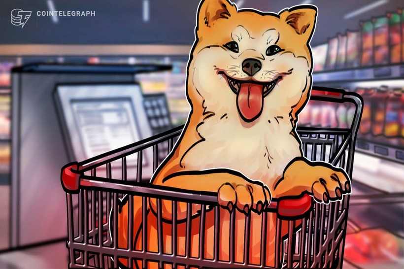 SHIB will increase by 300 percent! Do not sell before this date! - Photo: 2