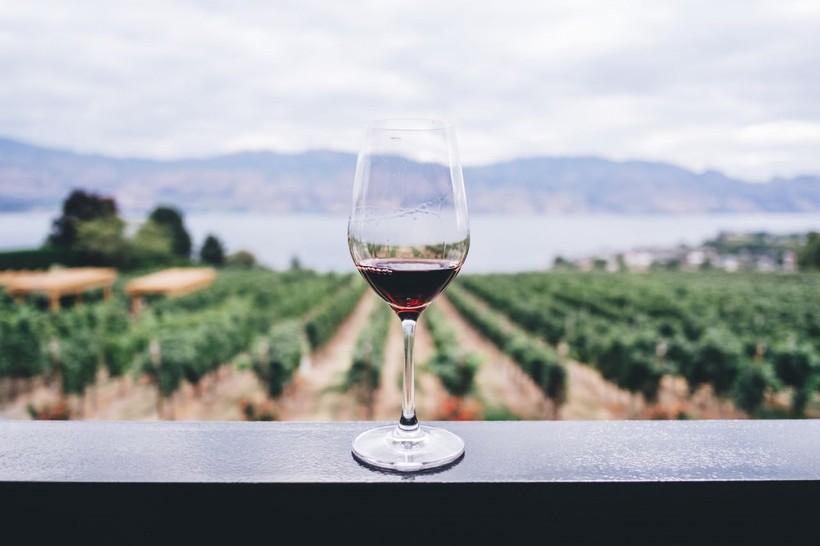 Is drinking a glass of red wine linked to health benefits? - Photo: 2