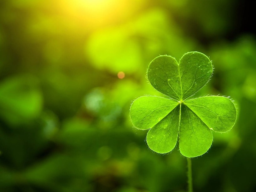 Best St. Patrick's Day traditions for good luck - Photo: 3