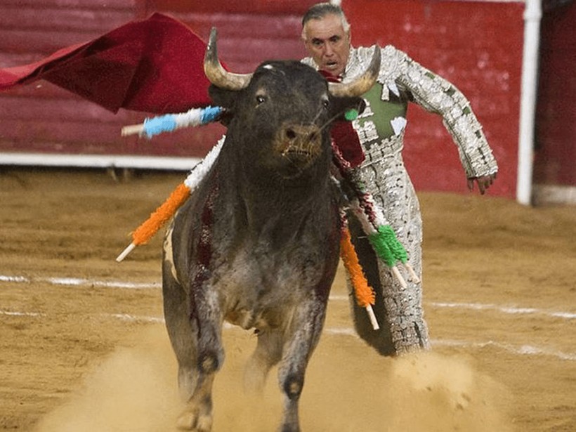 Shocking incident! Bull kills matador, here are the moments - Photo: 1